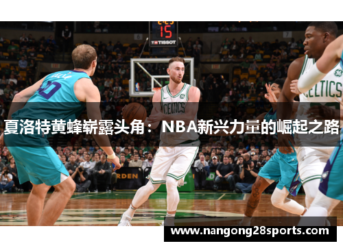 夏洛特黄蜂崭露头角：NBA新兴力量的崛起之路