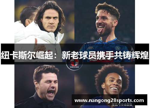 纽卡斯尔崛起：新老球员携手共铸辉煌